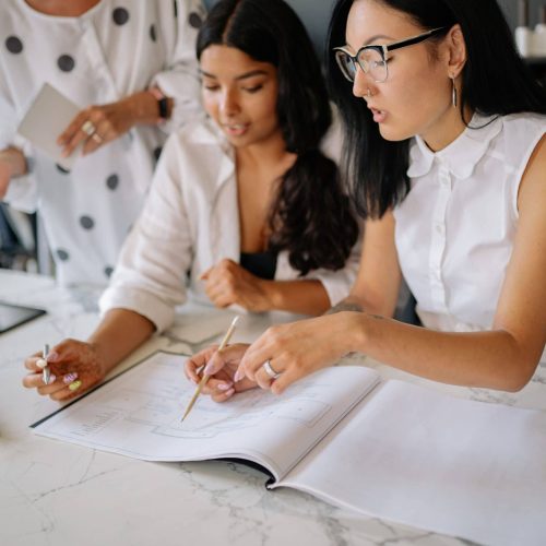 Professional women collaborating during an advisory planning meeting